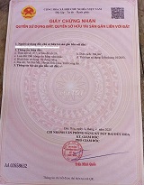 BÁN ĐẤT CHÍNH CHỦ SÁT DỰ ÁN VIN 930HA – TÂN MỸ, ĐỨC HÒA, LONG AN - Ảnh chính