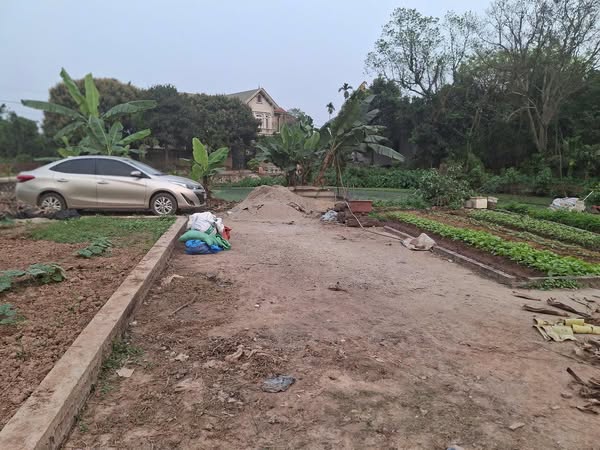CHÍNH CHỦ GỬI BÁN LÔ 42M ĐẤT GIÁ RẺ TẠI THỌ LỘC – PHÚC THỌ - Ảnh 2