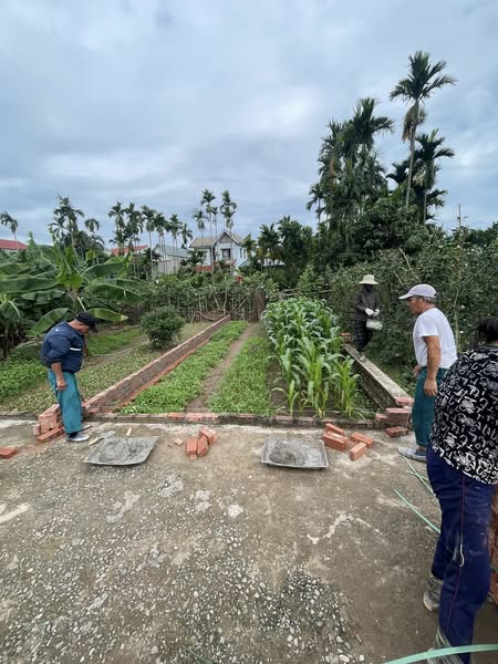 CHÍNH CHỦ GỬI BÁN LÔ 42M ĐẤT GIÁ RẺ TẠI THỌ LỘC – PHÚC THỌ - Ảnh 1