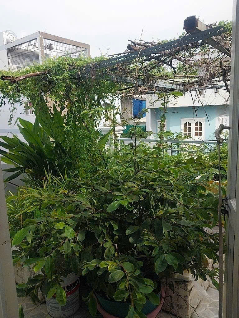 Bán Gấp nhà  Phạm Đăng Giảng ngay chợ gần Tân Phú hẻm 6m 64m2 -3 Tầng Nhỉnh 4 tỷ - Ảnh 4