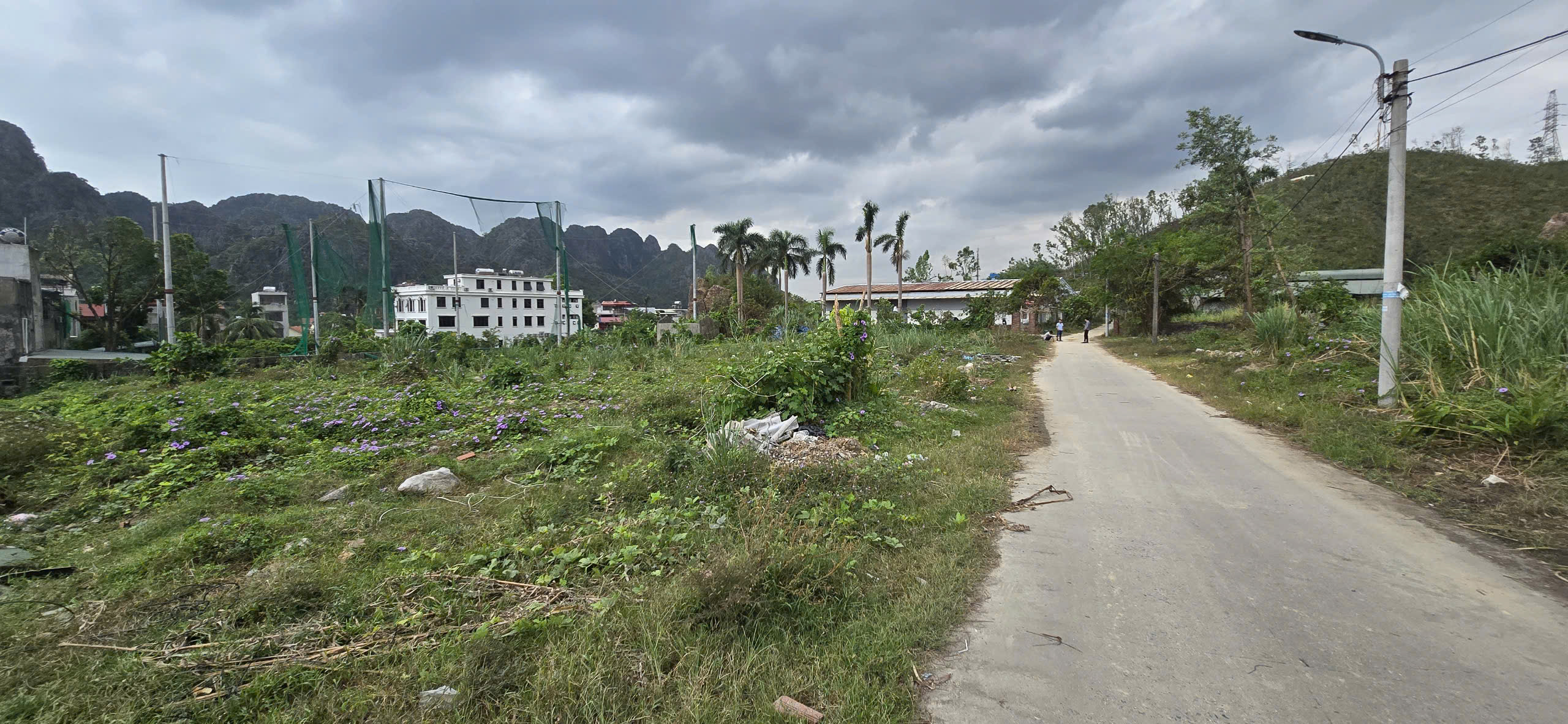 Bán đất đường QL 18 - đường Nguyễn Đức Cảnh, Quang Hanh, Cẩm Phả, Quảng Ninh, 1800m, MT 60m, miễn TG - Ảnh 3