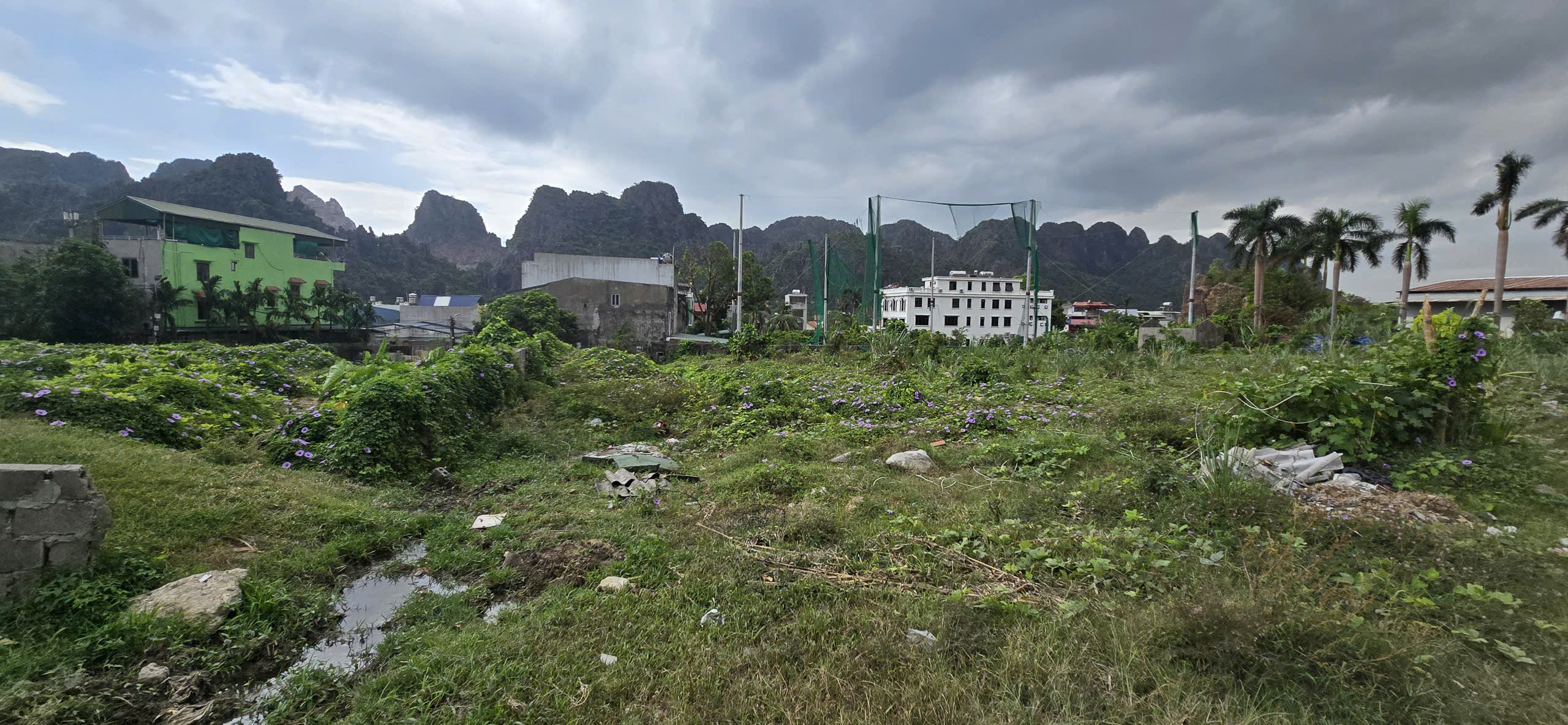 Bán đất đường QL 18 - đường Nguyễn Đức Cảnh, Quang Hanh, Cẩm Phả, Quảng Ninh, 1800m, MT 60m, miễn TG - Ảnh 1