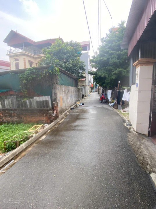 Đón Sóng Cầu Ngọc Hồi khởi công 19.8.25! Bán đất Xã Đa Tốn, Gia Lâm giá tốt, 66 triệu / m2, 51.8 m2 - Ảnh 1