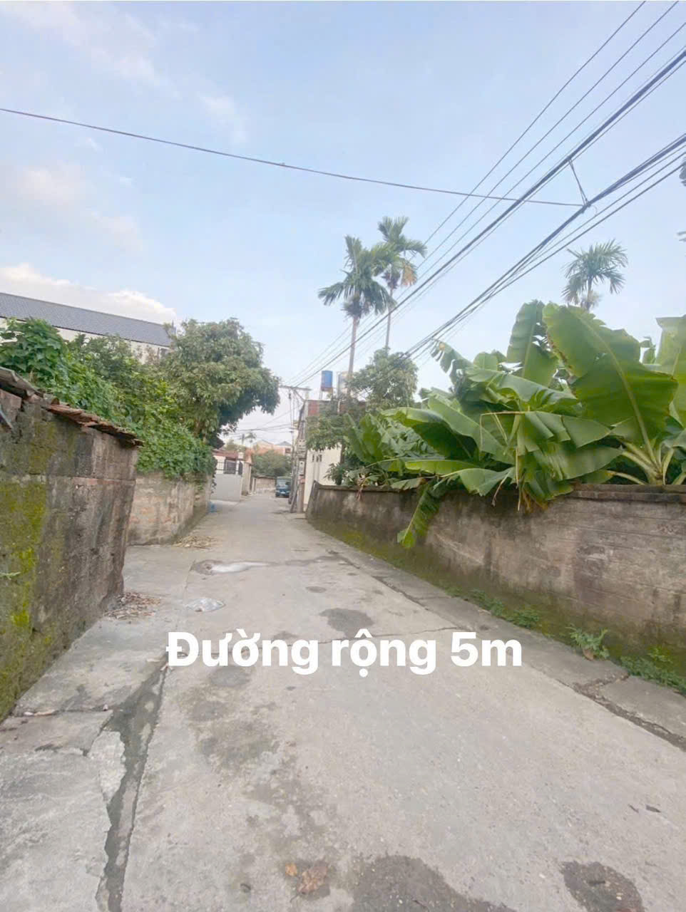 Bán lô đất đẹp 80m2 tại thôn Nam Võng Ngoại, xã Võng Xuyên, Phúc Thọ - Ảnh chính