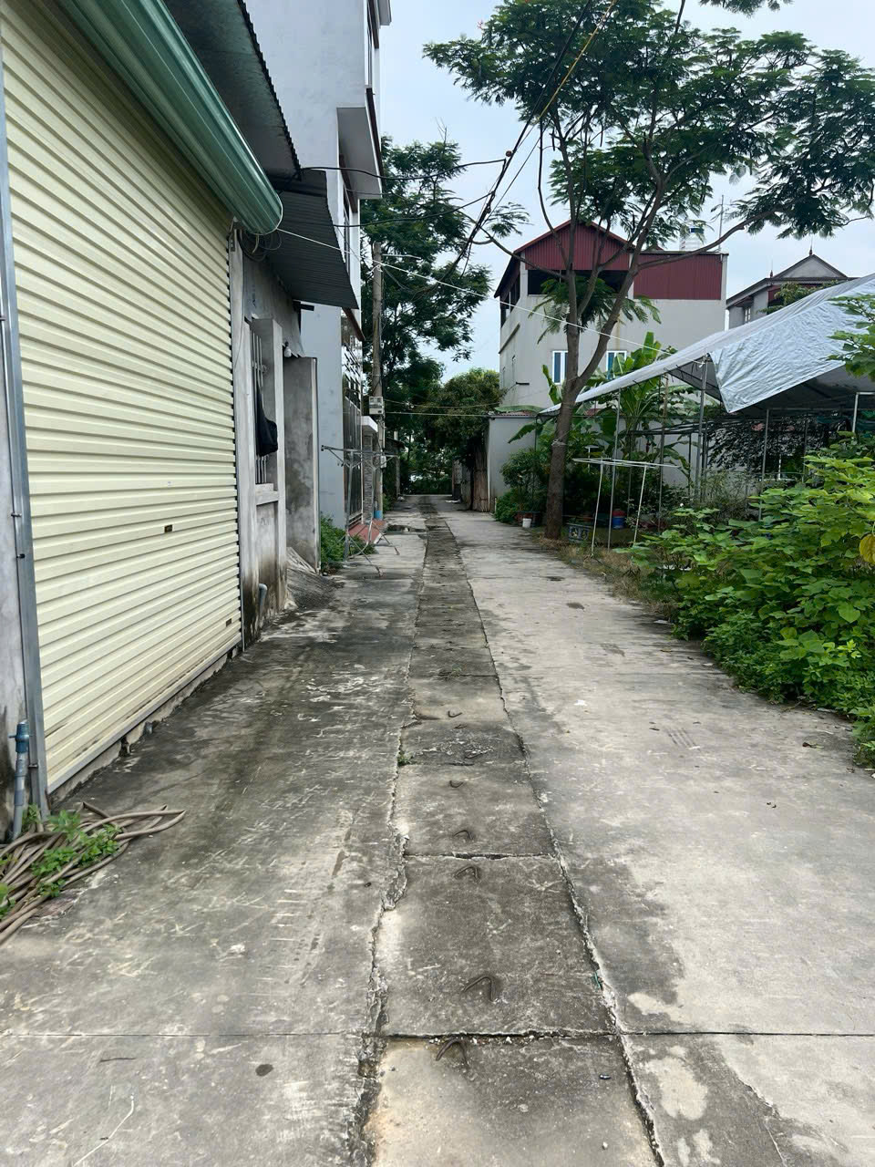 Cần Bán 58m thôn Ấp Tre, Tổ 10 Quang Minh, Mê Linh, HN. Đường thông, oto ra vào đất - Ảnh 1