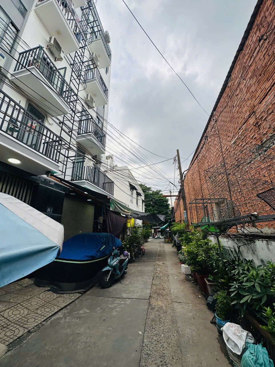Chính Chủ Bán HXH Phan Đình Phùng, Tân Phú: DT 12x25m, Giá Tốt - Cơ Hội Đầu Tư Mặt Tiền Sinh Lời! - Ảnh 2