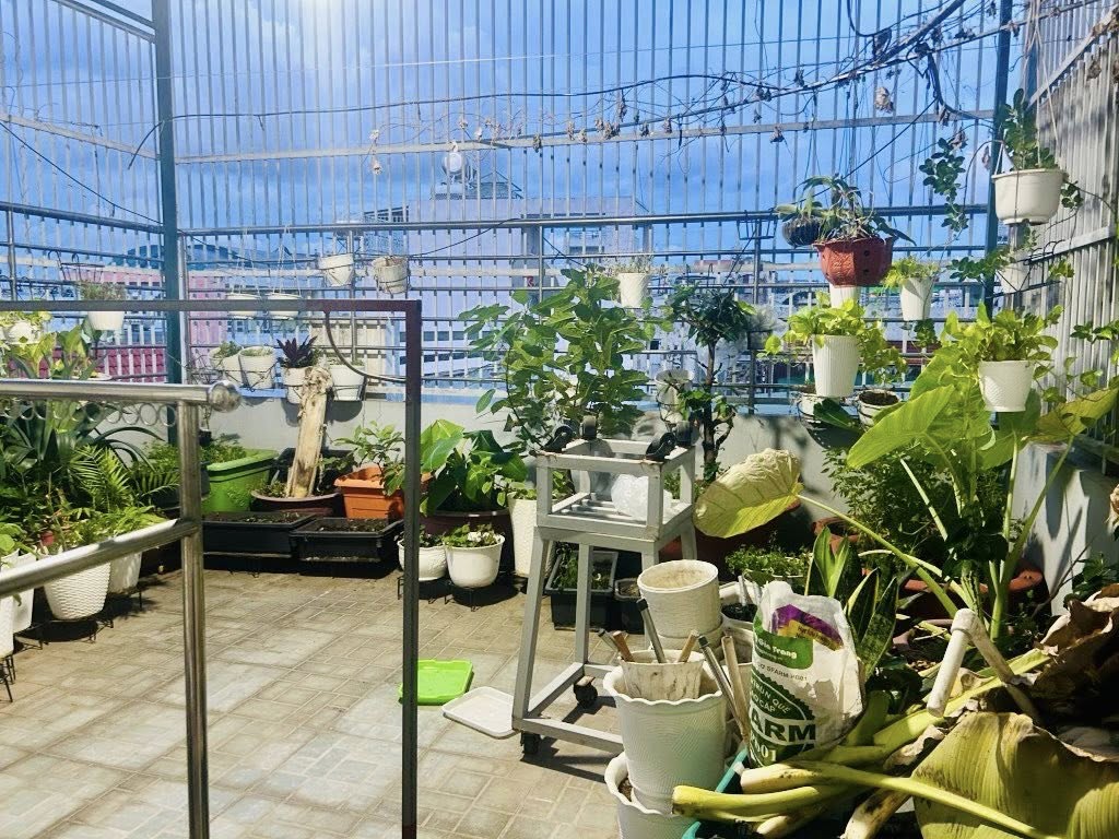 GÒ DẦU – HXH THÔNG – NHÀ ĐẸP LÔ GÓC – 75M NGANG 5 – 4 TẦNG – 4PN – NHỈNH 10 TỶ - Ảnh 2