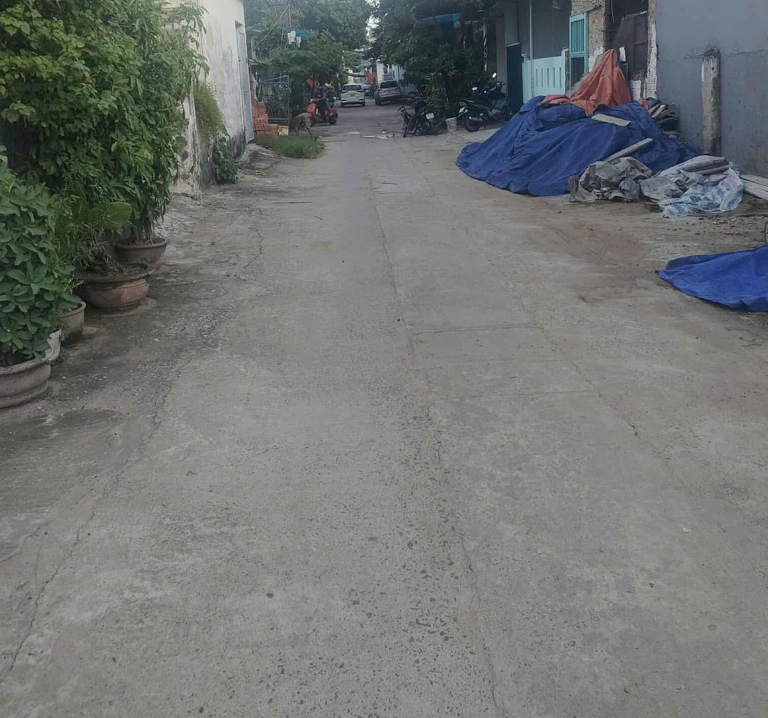 ► Góc kiệt Ô TÔ sát MT Bà Huyện Thanh Quan, 90m2, ngang 8m, nhỉnh 8 tỷ - Ảnh 2