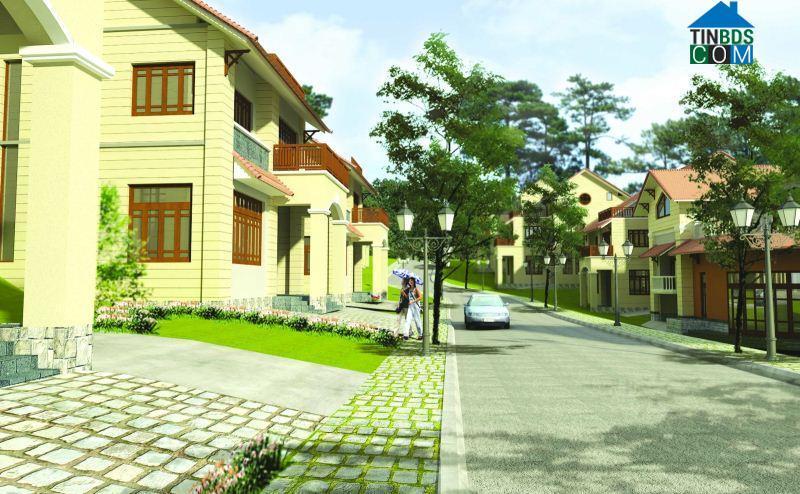 Đà Lạt Green